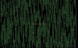 网站赢钱被黑有办法要回来吗