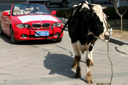 在365赢钱被黑的钱