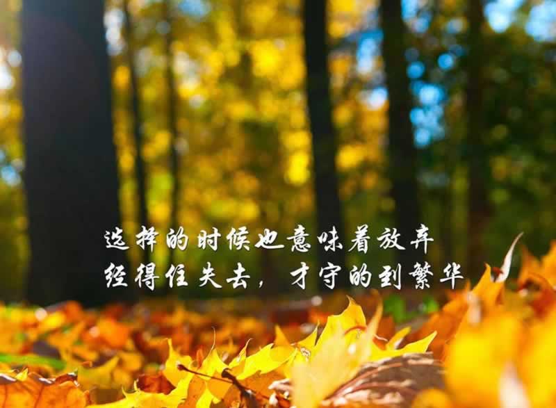 出款被平台黑藏分如何出款教你如何应对(图)