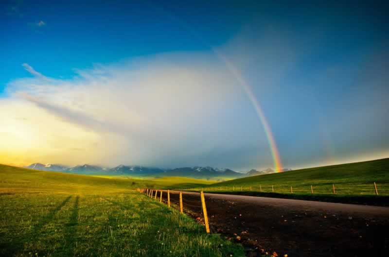 被黑款拿回的办法